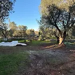 Apollonia Hébergement de vacances *