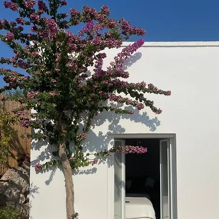 Apollonia *